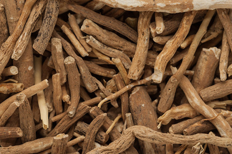 Double A Power: Ashwagandha and Acerola