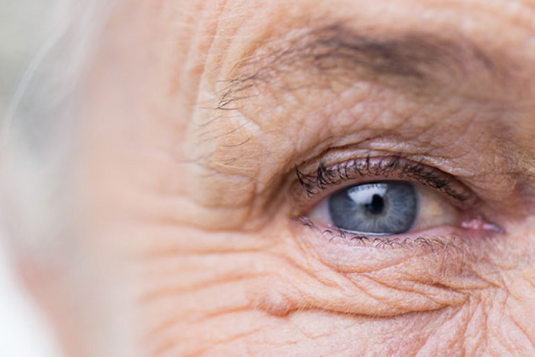 Private Label Eye Supplements for Better Quality of Life
