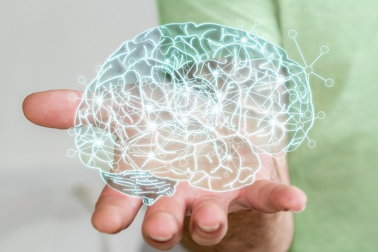 Botanicals for Brain Support