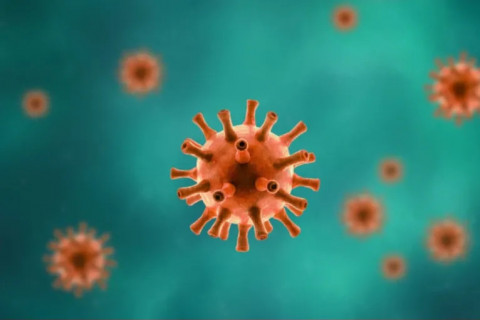 Manufacturing Custom Nutraceutical Immune Supplements