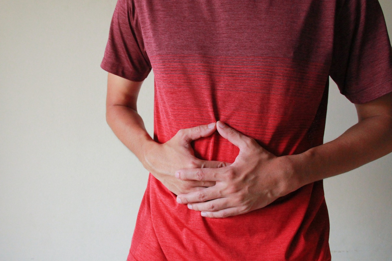 Manufacturing Postbiotic Supplements: Pioneering Gut Health and Propelling Business Success