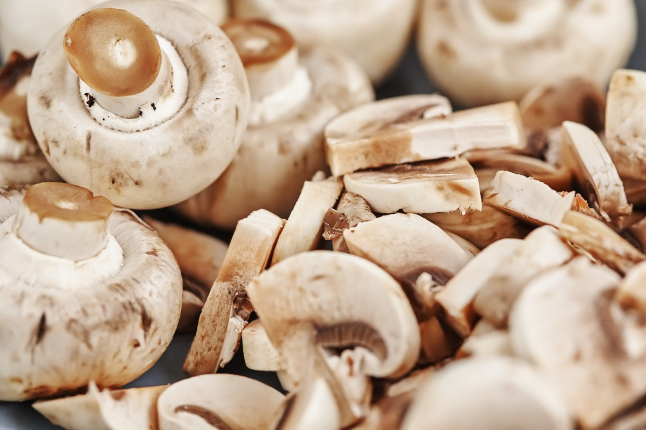 Lucrative Market for Private Label Mushroom Supplements