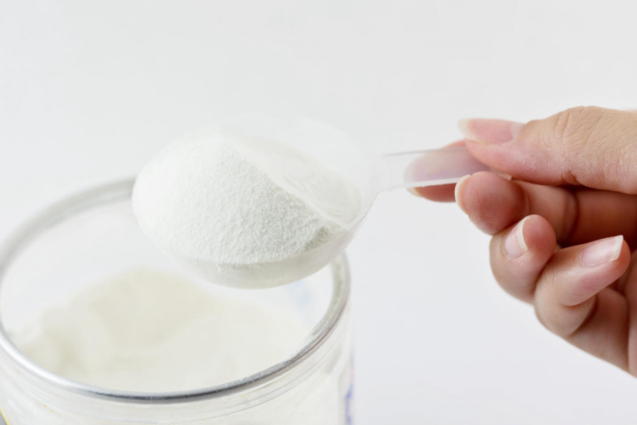 Premium Protein Powder